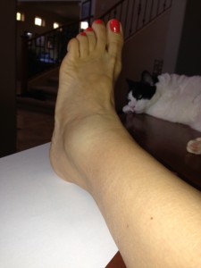 ankle