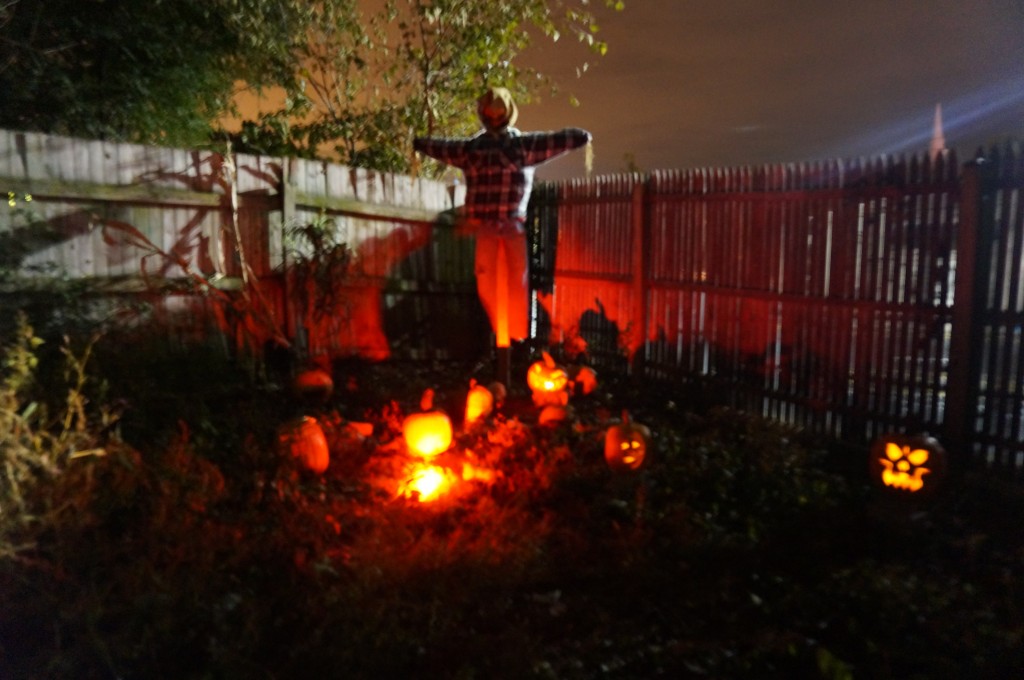 Bridget's_Haunted_Pumpkin_patch