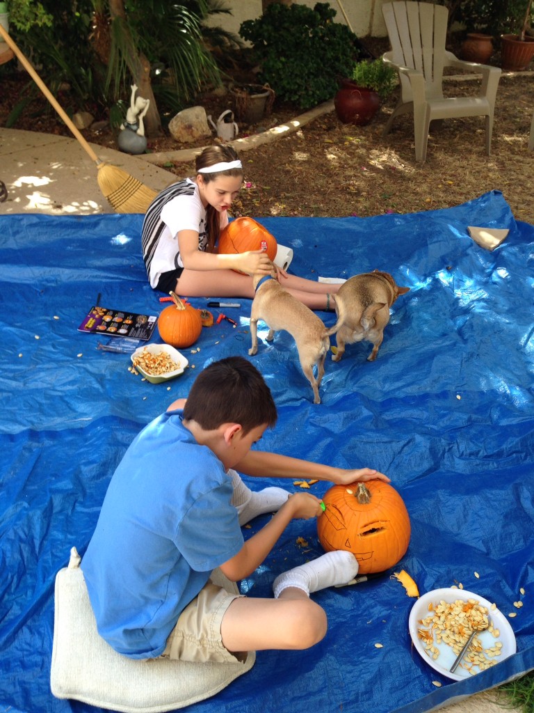 Lexi and B's dogs