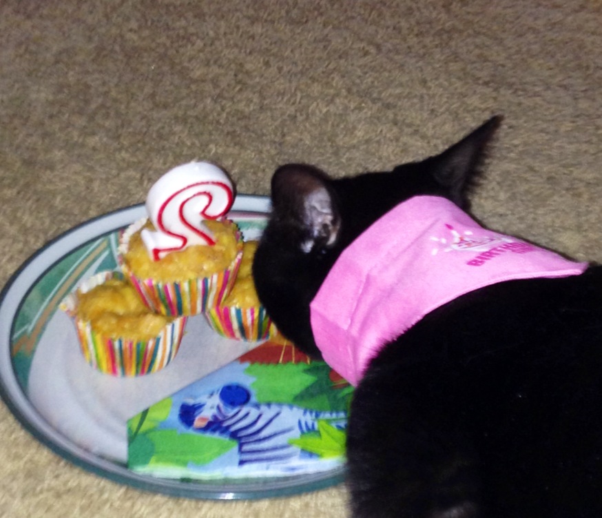 Her mom made her wear her her birthday celebration scarf! 