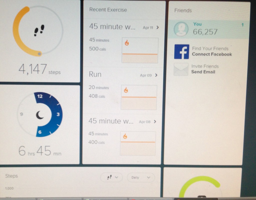 Fitbit page