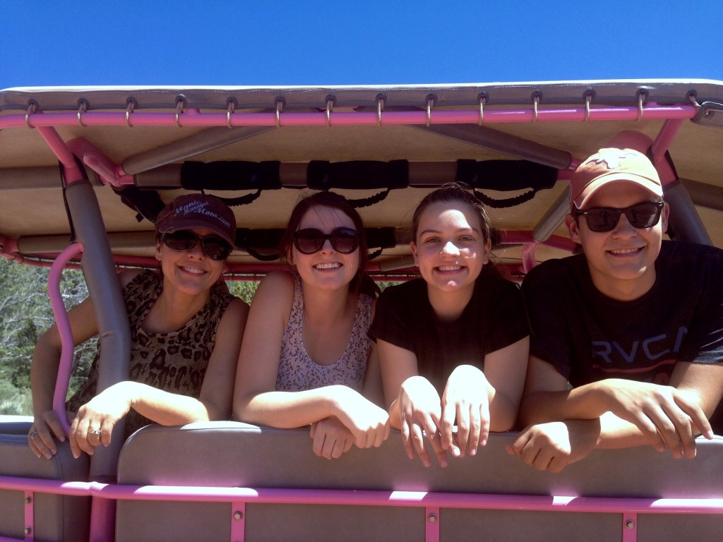 pink jeep tour pic